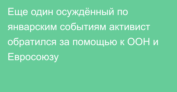 Еще один осуждённый по январским событиям активист обратился за помощью к ООН и Евросоюзу