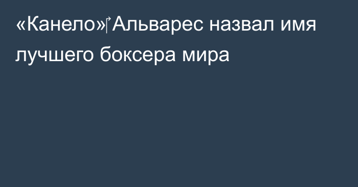 «Канело»‎ Альварес назвал имя лучшего боксера мира