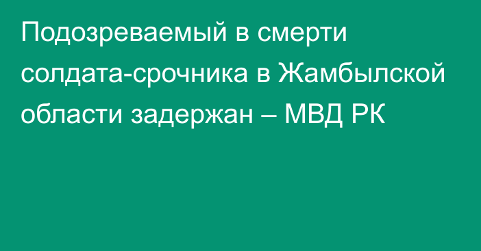 Подозреваемый в смерти солдата-срочника в Жамбылской области задержан – МВД РК