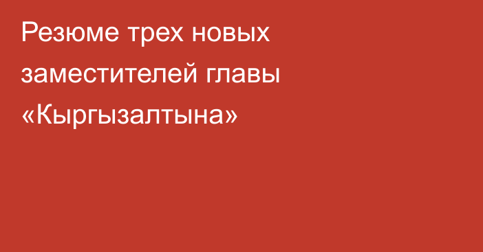 Резюме трех новых заместителей главы «Кыргызалтына»