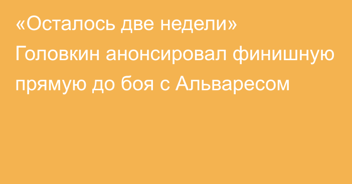 «Осталось две недели» Головкин анонсировал финишную прямую до боя с Альваресом