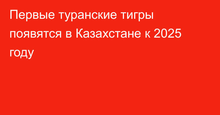 Первые туранские тигры появятся в Казахстане к 2025 году