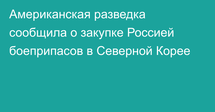 Американская разведка сообщила о закупке Россией боеприпасов в Северной Корее