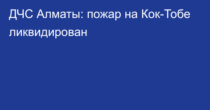 ДЧС Алматы: пожар на Кок-Тобе ликвидирован