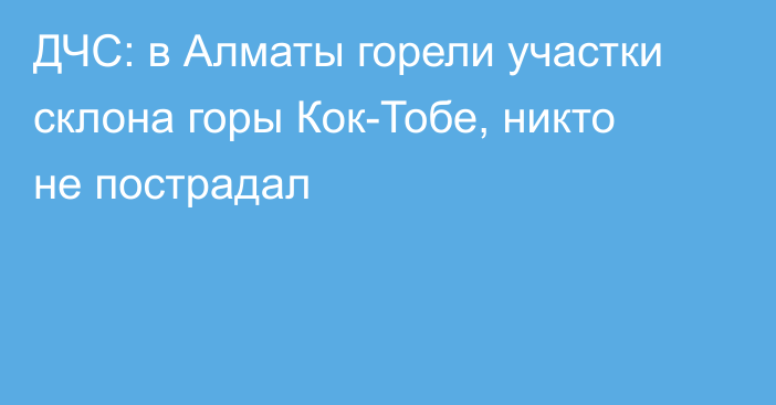 ДЧС: в Алматы горели участки склона горы Кок-Тобе, никто не пострадал