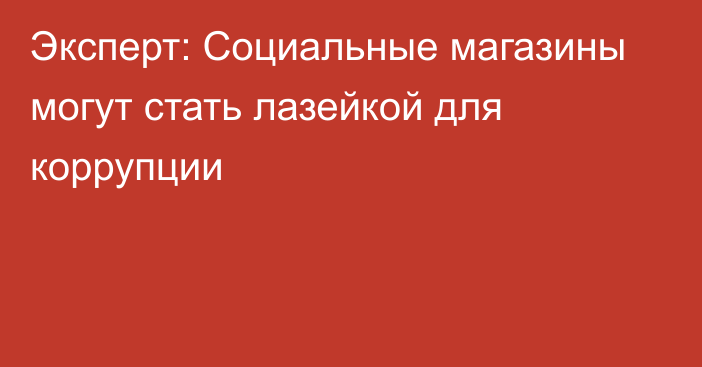 Эксперт: Социальные магазины могут стать лазейкой для коррупции 