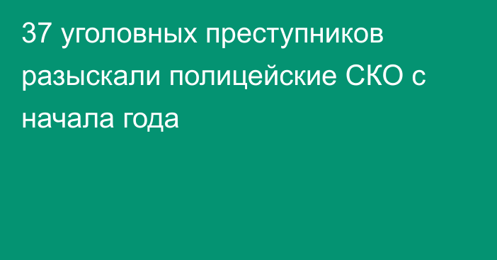 37 уголовных преступников разыскали полицейские СКО с начала года