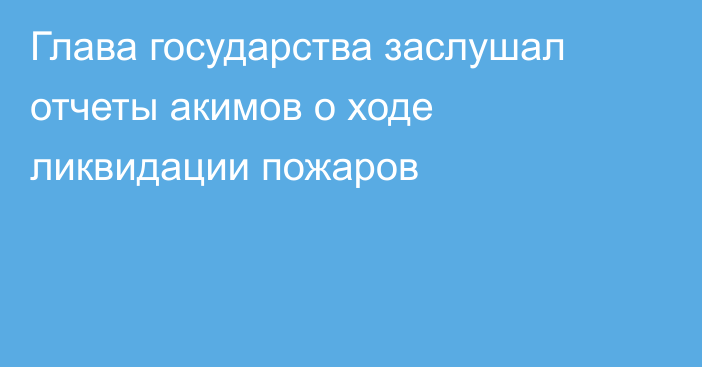 Глава государства заслушал отчеты акимов о ходе ликвидации пожаров