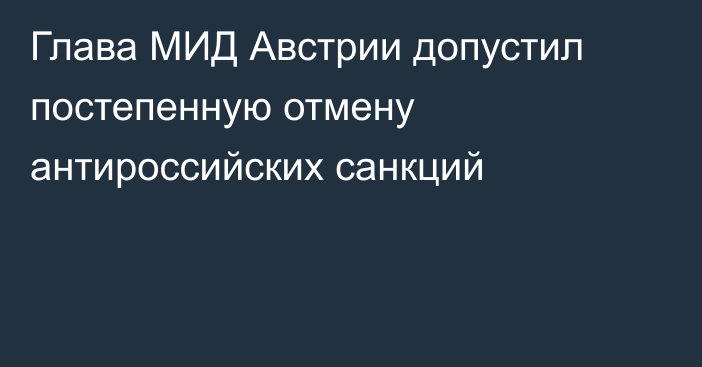 Глава МИД Австрии допустил постепенную отмену антироссийских санкций