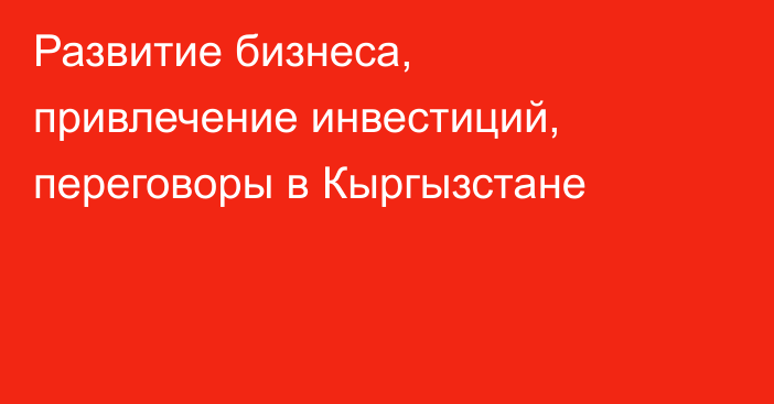 Развитие бизнеса, привлечение инвестиций, переговоры в Кыргызстане