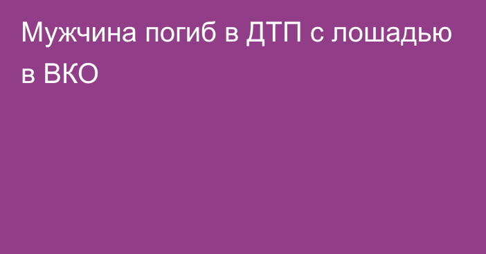 Мужчина погиб в ДТП с лошадью в ВКО