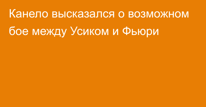 Канело высказался о возможном бое между Усиком и Фьюри