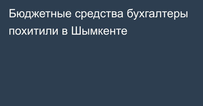 Бюджетные средства бухгалтеры похитили в Шымкенте