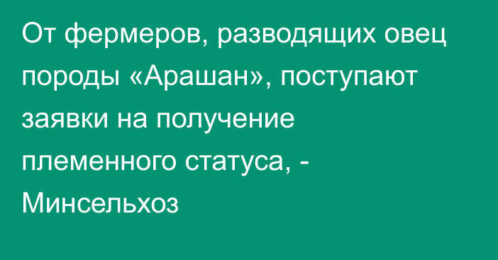 От фермеров, разводящих овец породы «Арашан», поступают заявки на получение племенного статуса, - Минсельхоз