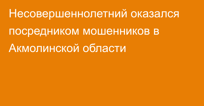 Несовершеннолетний оказался посредником мошенников в Акмолинской области