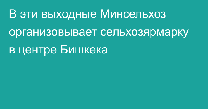 В эти выходные Минсельхоз организовывает сельхозярмарку в центре Бишкека