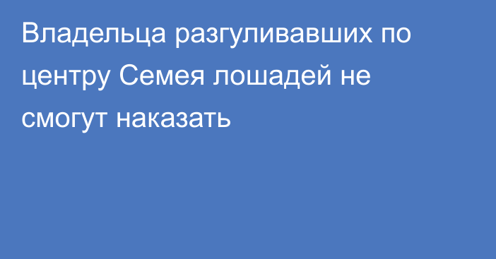 Владельца разгуливавших по центру Семея лошадей не смогут наказать