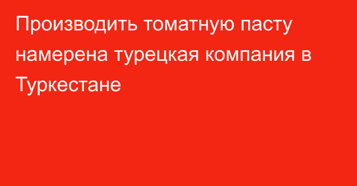 Производить томатную пасту намерена турецкая компания в Туркестане