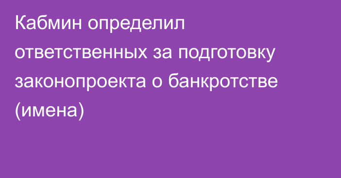 Кабмин определил ответственных за подготовку законопроекта о банкротстве (имена)