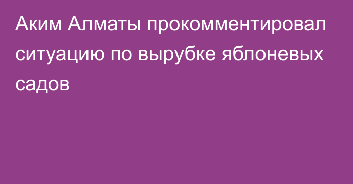 Аким Алматы прокомментировал ситуацию по вырубке яблоневых садов