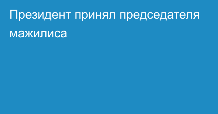 Президент принял председателя мажилиса