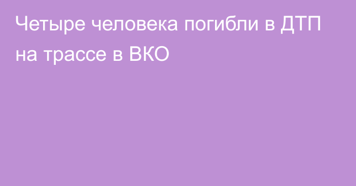 Четыре человека погибли в ДТП на трассе в ВКО