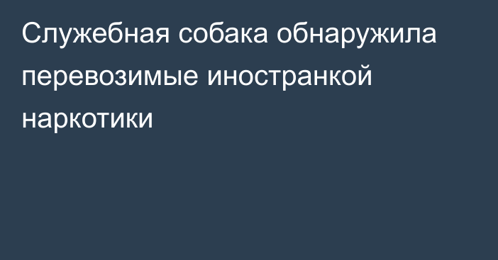 Служебная собака обнаружила перевозимые иностранкой наркотики