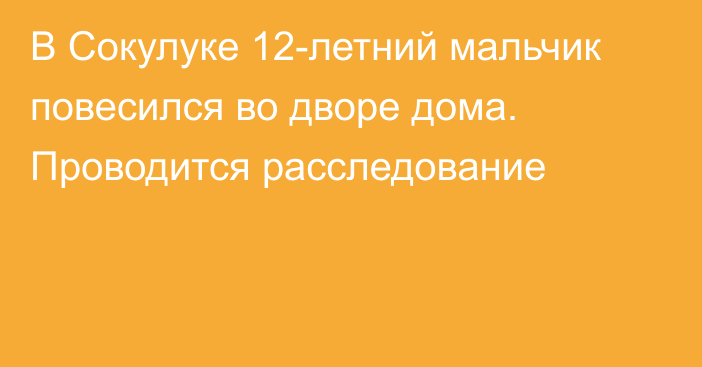 В Сокулуке 12-летний мальчик повесился во дворе дома. Проводится расследование