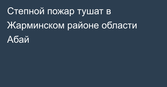 Степной пожар тушат в Жарминском районе области Абай