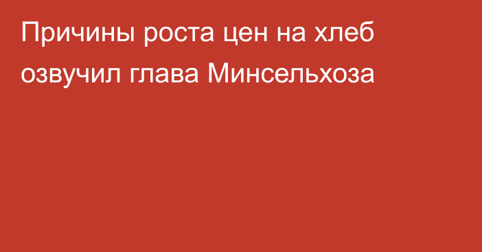 Причины роста цен на хлеб озвучил глава Минсельхоза