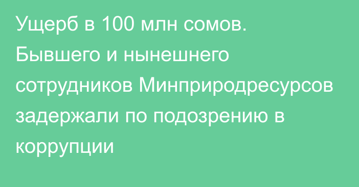 Ущерб в 100 млн сомов. Бывшего и нынешнего сотрудников Минприродресурсов задержали по подозрению в коррупции