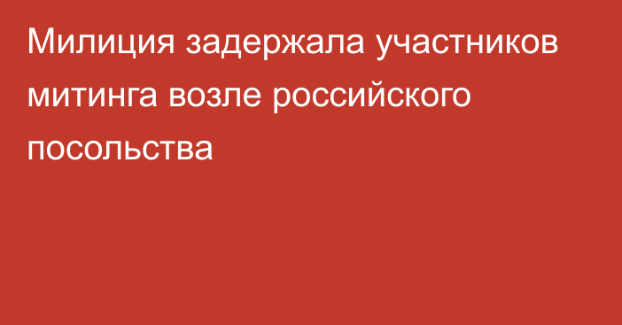 Милиция задержала участников митинга возле российского посольства