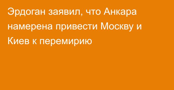 Эрдоган заявил, что Анкара намерена привести Москву и Киев к перемирию