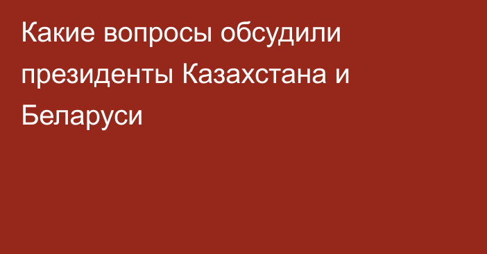 Какие вопросы обсудили президенты Казахстана и Беларуси