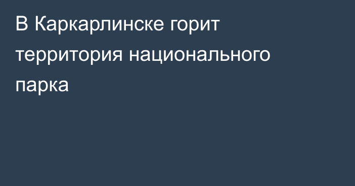 В Каркарлинске горит территория национального парка