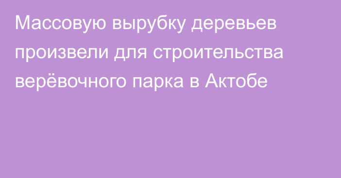 Массовую вырубку деревьев произвели для строительства верёвочного парка в Актобе