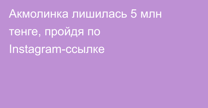 Акмолинка лишилась 5 млн тенге, пройдя по Instagram-ссылке