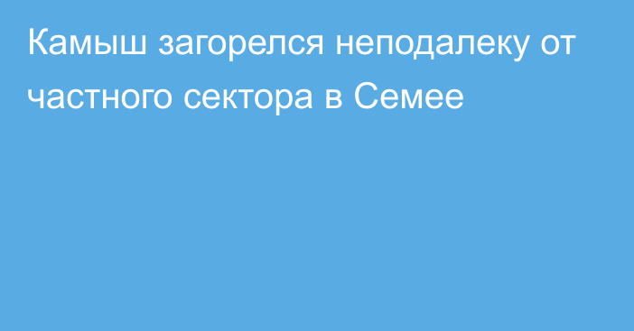 Камыш загорелся неподалеку от частного сектора в Семее