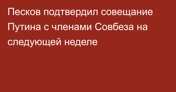 Песков подтвердил совещание Путина с членами Совбеза на следующей неделе