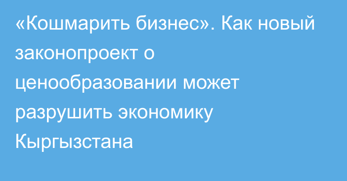 «Кошмарить бизнес». Как новый законопроект о ценообразовании может разрушить экономику Кыргызстана