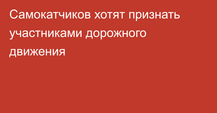 Самокатчиков хотят признать  участниками дорожного движения