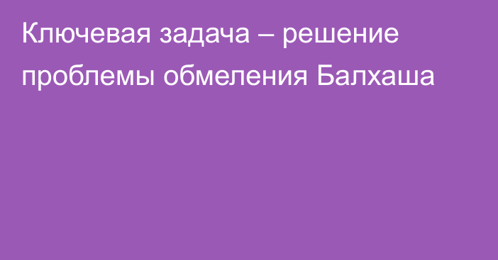 Ключевая задача – решение проблемы обмеления Балхаша