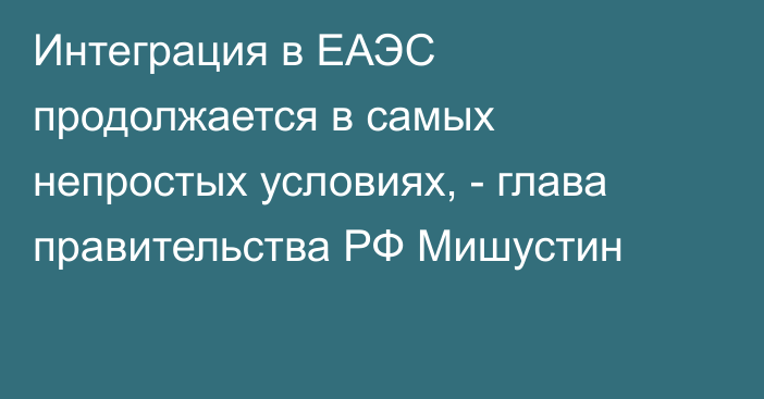 Интеграция в ЕАЭС продолжается в самых непростых условиях, - глава правительства РФ Мишустин