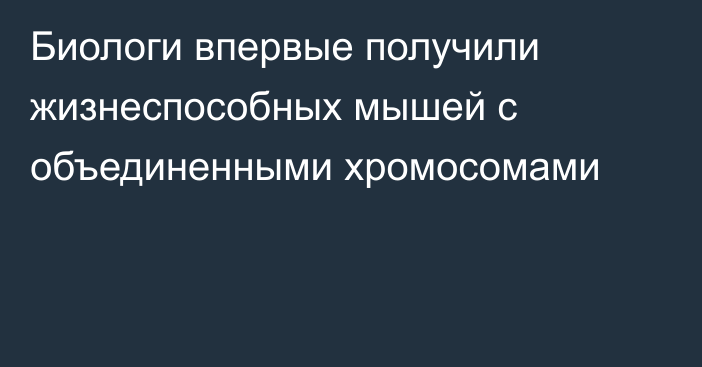 Биологи впервые получили жизнеспособных мышей с объединенными хромосомами