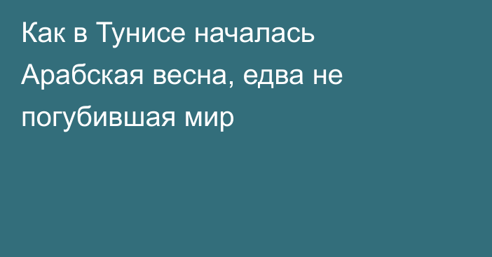 Как в Тунисе началась Арабская весна, едва не погубившая мир