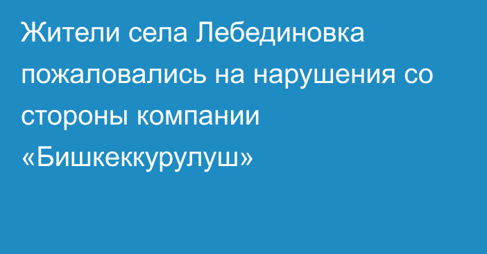 Жители села Лебединовка пожаловались на нарушения со стороны компании «Бишкеккурулуш»