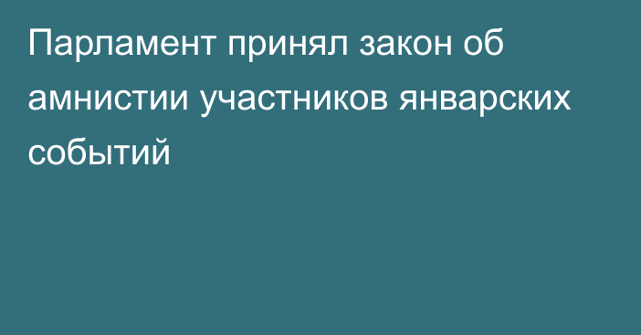 Парламент принял закон об амнистии участников январских событий