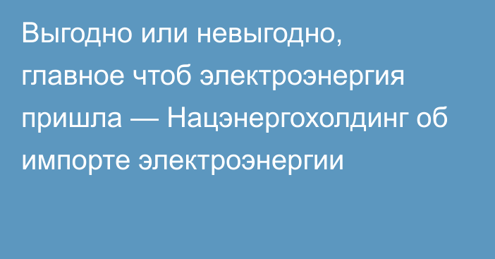 Выгодно или невыгодно, главное чтоб электроэнергия пришла — Нацэнергохолдинг об импорте электроэнергии