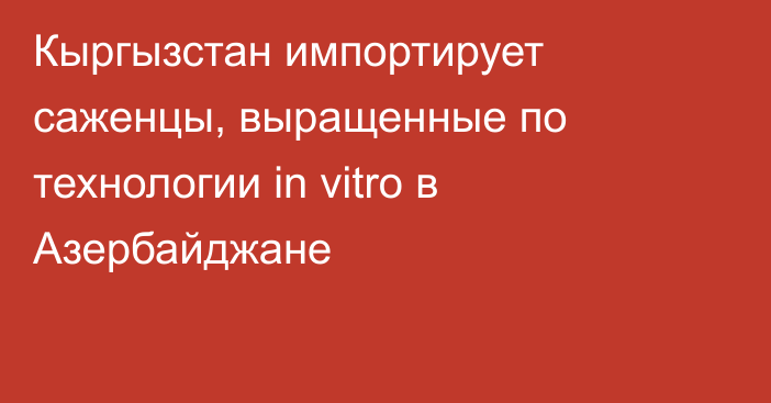 Кыргызстан импортирует саженцы, выращенные по технологии in vitro в Азербайджане