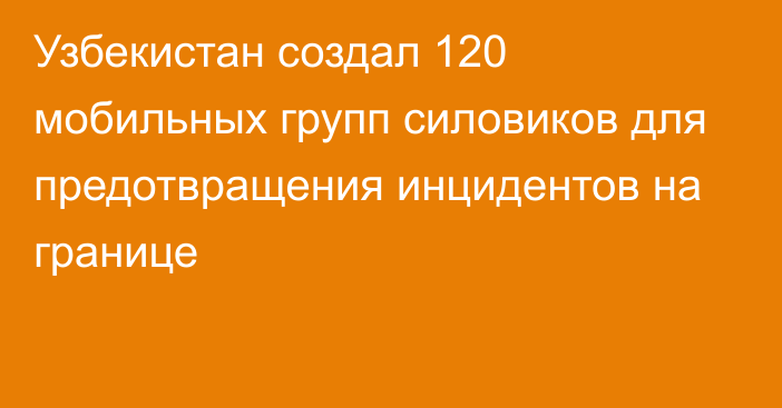 Узбекистан создал 120 мобильных групп силовиков для предотвращения инцидентов на границе